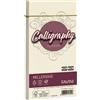 FAVINI 25 BUSTE CALLIGRAPHY MILLERIGHE 110X220MM 100GR 02 AVORIO A57Q424