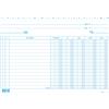EDIPRO 100 SCHEDE DARE/AVERE/SALDO/IVA 17x24CM ORIZZ. E3379 Edipro E3379BL