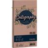 FAVINI 25 buste Calligraphy Nature CRUSH 120gr 110x220mm mandorla FAVINI A57C204