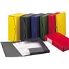 ESSELTE Scatola archivio PROJECT 12 verde 25x35cm dorso 12cm Esselte 00024014