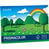 FAVINI Album PRISMACOLOR 10fg 128gr 24x33cm monoruvido FAVINI A12X244