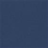 CANSON Foglio COLORLINE 70x100 cm 220 gr. 24 Oltremare 200041210