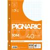 PIGNA RICAMBI FORATI RINFORZATI A4 10MM 40FG 80GR PIGNARIC 021945910