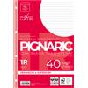 PIGNA RICAMBI FORATI RINFORZATI A4 1RIGO 40FG 80GR PIGNARIC 02194591R