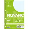 PIGNA RICAMBI FORATI RINFORZATI A4 4MM 40FG 80GR PIGNARIC 02194594M