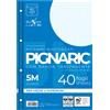 PIGNA RICAMBI FORATI RINFORZATI A4 5MM 40FG 80GR PIGNARIC 02194595M