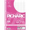 PIGNA RICAMBI FORATI RINFORZATI A4 RIGO DI 1° 40FG 80GR PIGNARIC 02194590A