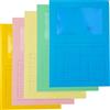BLASETTI 20 Cartelline a L c/finestra mix 5 colori 120gr Sintex Blasetti 576