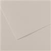 CANSON Foglio MI-TEINTES A4 cm 160 gr. 120 grigio perla C31032S009