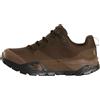 THE NORTH FACE M OFFTRAIL GTX DARK CHESTNUT Scarpe da Trekking da Uomo
