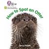 Collins How to Spot an Otter: Phase 4 Set 2
