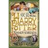 Carlsen Verlag GmbH Harry Potter und die Kammer des Schreckens (Harry Potter 2): Kinderbuch-Klassiker ab 10 Jahren über Hogwarts und den bekanntesten Zauberer der Welt