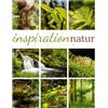 Ackermann Kunstverlag Inspiration Natur Kalender 2026 | Vielfältiger Natur-Kalender im großen Hochformat (50x66 cm) | Mehrteilige Bildmosaike im Triplet-Stil