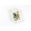 The Pepin Press Note pads A5 - Botanical (new edition): Writing Paper & Note Pad A5