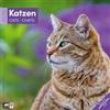 Ackermann Kunstverlag Katzen Broschürenkalender 2026 - 30x30 - Art12 | Niedlicher Tier-Kalender im schlanken Hochformat (aufgeklappt 30x60 cm) | mit Eintrage-Kalendarium