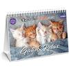 Quattrozampe Gatti & relax. Calendario da tavolo 16 mesi