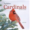 Workman Calenders Audubon Cardinals Mini Wall Calendar 2026