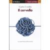 Il Mulino Il cervello. La macchina della mente