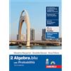 Zanichelli Matematica.blu. Con Probabilità. Per le Scuole superiori. Con Contenuto digitale (fornito elettronicamente). Algebra (Vol. 2)