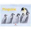 Ackermann Kunstverlag Pinguine Kalender 2026 | Hochwertiger Vogel-Kalender im Querformat (45x33 cm) | Tiere in der Antarktis