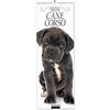 Sprea Book Cane corso. Calendario 2025. Long