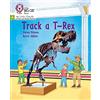 Collins Track a T-Rex: Phase 4 Set 1