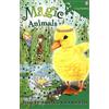 Salani Magic animals. Ediz. illustrata. Ellie Piumabecco sola soletta (Vol. 3)