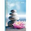 Neumann Verlage GmbH & Co Agenda giornaliera grande Zen 2025 - Agende Giornaliere 15 x 21 cm