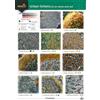 Field Studies Council On Stones and Soil (Pt. 2)