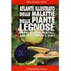 Franco Muzzio Editore Atlante illustrato delle malattie delle piante legnose. Arbusti ornamentali, alberi di parchi e viali