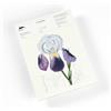 The Pepin Press Note pads A5 - Flowers: Writing Paper & Note Pad A5