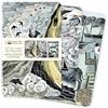 Flame Tree Gift Angela Harding: Coastlines Set of Mini Notebooks