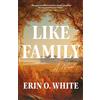 Dial Press Trade Paperback Like Family: A Novel
