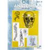 Vinciana Editrice Anatomia per artisti