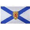 AZ FLAG Bandiera Nuova Scozia 150x90 cm Poliestere 100D 2 Occhielli | Uso interno ed esterno bandiera decorativa canadese Nova Scotia doppie cuciture e bordi rinforzati con occhielli metallici