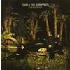 Echo & the Bunnymen Evergreen (CD) Album