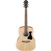 Ibanez Acoustic guitar / V50NJPOPN Standard