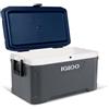 IGLOO Maxcold 70 - Frigorifero Unisex Adulto