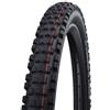 SCHWALBE Eddy Current Gravity PRO, TLR