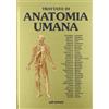 Trattato di anatomia umana: 3