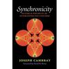 [(Synchronicity: Nature and Psyche in an Interconnected Universe)] [Author: Joseph Cambray] published on (March, 2012)