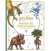 Insight Editions Harry Potter: Magical Creatures Coloring Book