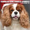 Wlcp Cavalier King Charles Spaniels 2026 Wall Calendar