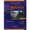 Antonio Delfino Editore Trattato di botanica. Struttura e fisiologia (Vol. 1)