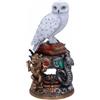 Nemesis Now Harry Potter Edvige e Crest Figure Multicolore Multicolore Taglia unica