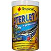 Tropical Sterlet (Storione), 1er Pack (1 X 1 L)