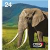 Epson Multipack 6 colori T24 Claria Photo HD in confezione Easy Mail Packaging