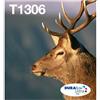 Epson Multipack 3 colori T1306 DURABrite Ultra Ink in confezione Easy Mail Packaging