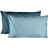 Ruggeri Coppia Federe in Microfibra, 50x80 cm, Azzurro Bicolor | Coppia Federe per Cuscini Letto 50x80 cm 100% Morbida Microfibra di Alta Qualità Collezione Everyday (Azzurro Bicolor)