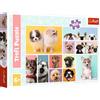 Trefl - Amicizia Tra Cani - Puzzle 160 Pezzi - Puzzle Colorati con Animali, Collage, Cani, Intrattenimento Creativo, Divertimento per Bambini dai 6 anni in su